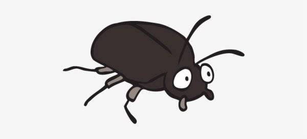 Жучок на белом фоне