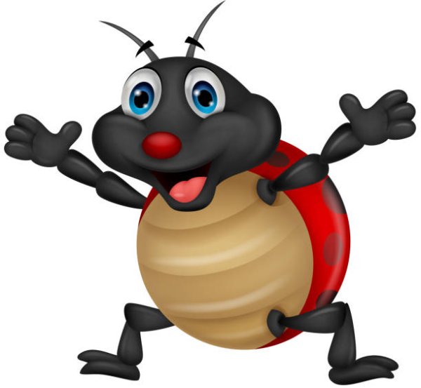 Смешной Жук на прозрачном фоне