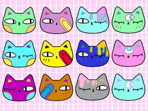 Котоброшки асинастра шаблон