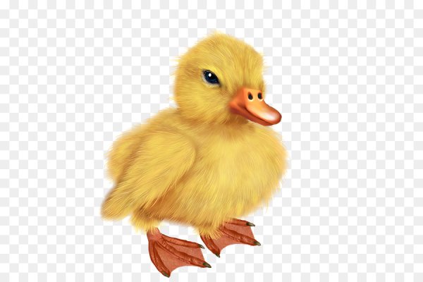 Утята для детей