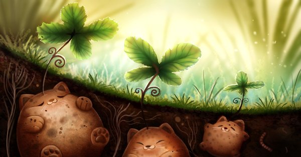 Милая картошка