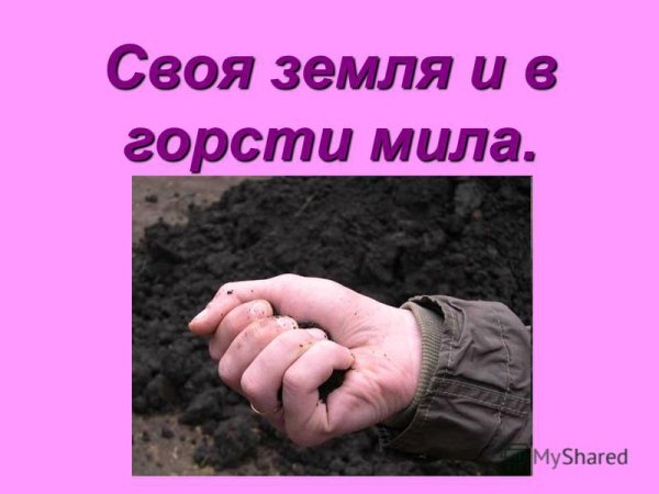 Пословица своя земля и в горсти Мила