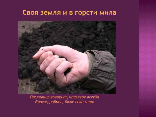 Своямземля и в гости Мила