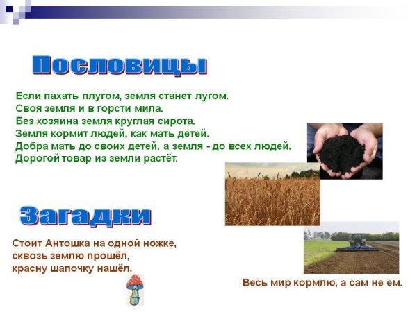 Пословица всякому овощу свое время