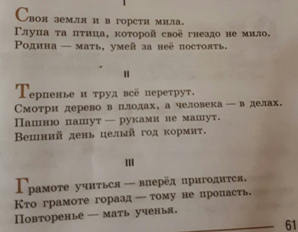 Растение в ладонях