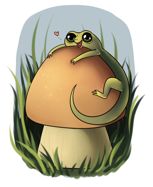 Жабка инди КИД