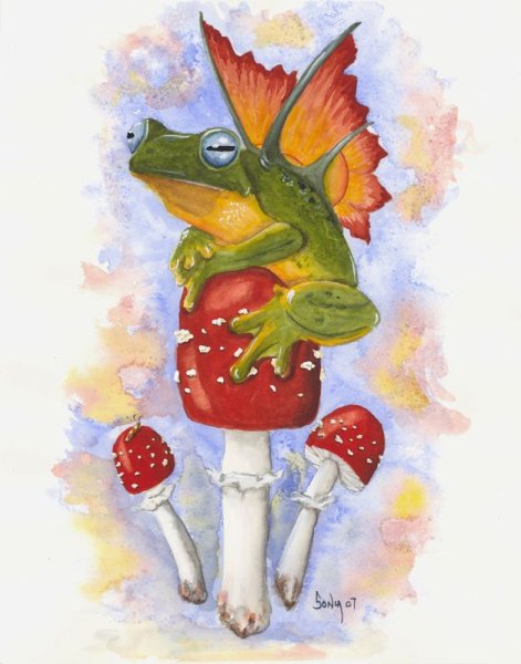 Мухоморчик инди КИД