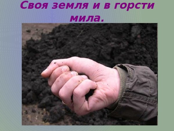 Своя земля и в горсти Мила
