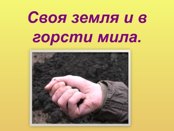 Своямземля и в гости Мила