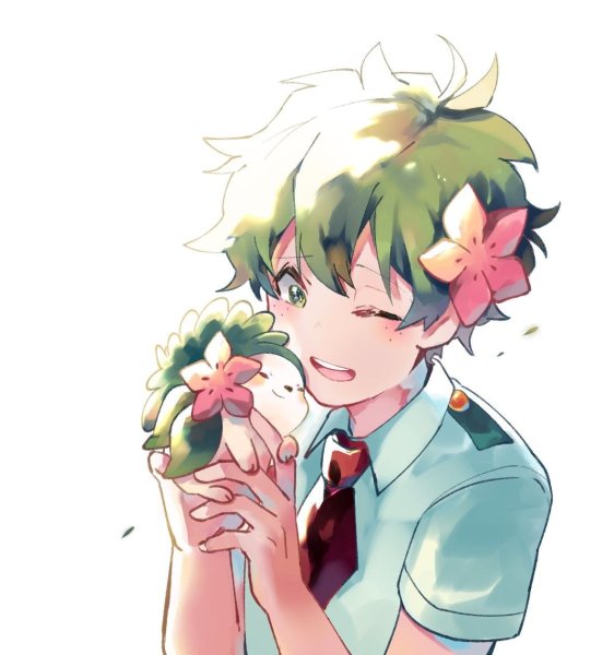 Мидори Изуку милый