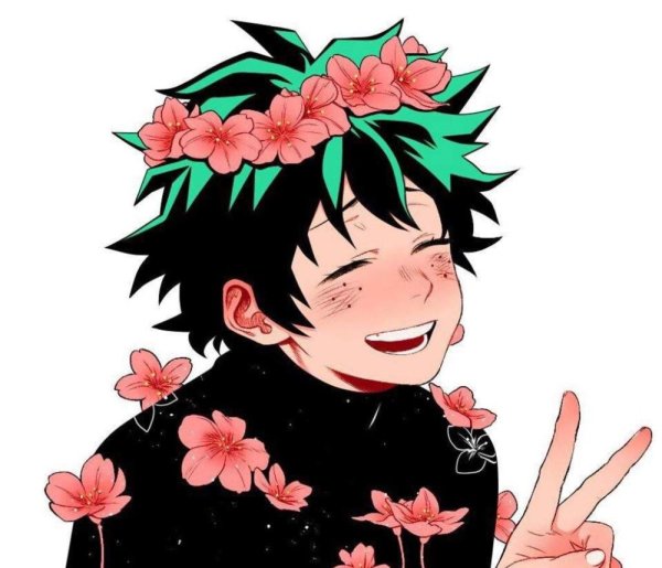 Рост Мидори Изуку