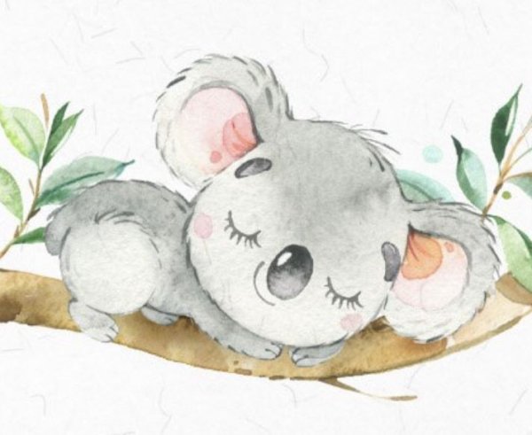 Коала рисунок милый