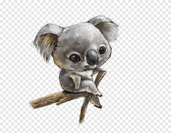 Рисунки для срисовки Куала