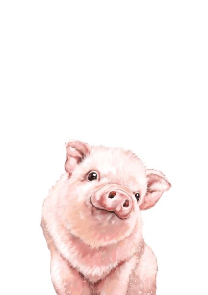 Свинья акварель