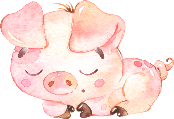 Милая Свинка