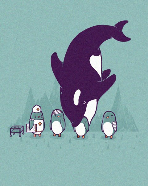 Касатка прикол