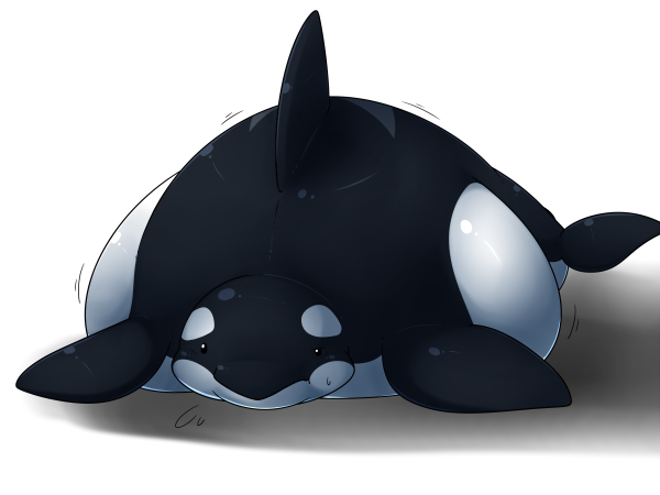 Толстая Касатка