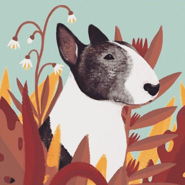 Мультяшные Бультерьеры