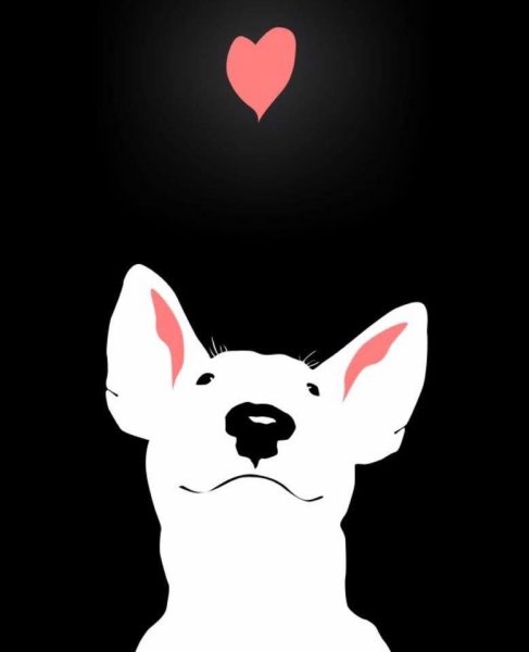 Собака с айфоном ава