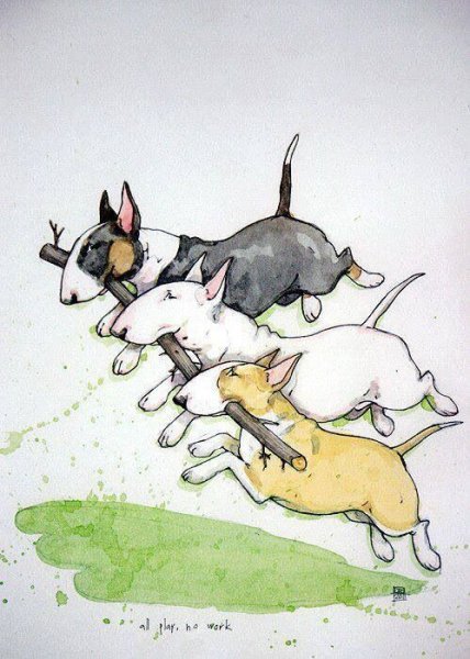 Бультерьер карикатура