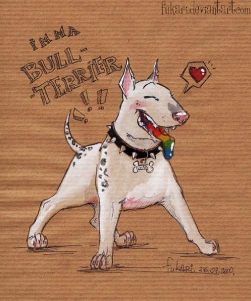 С днем рождения бультерьер