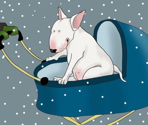 Бультерьер открытка