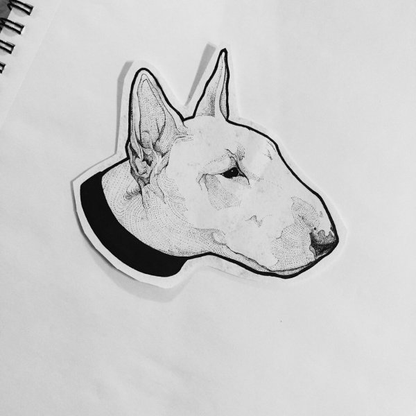 Тату бультерьер