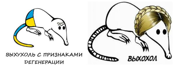 Выхухоль карикатура