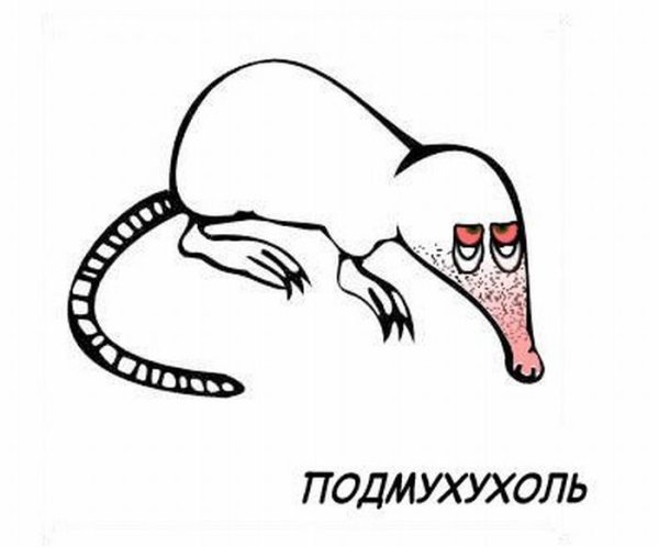 Миронов выхухоль