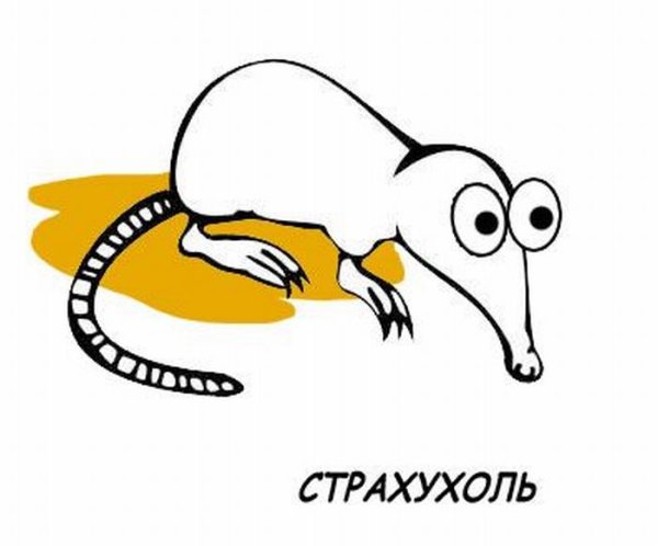 Выхухоль Мем