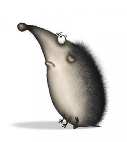 Смешной Ежик рисунок