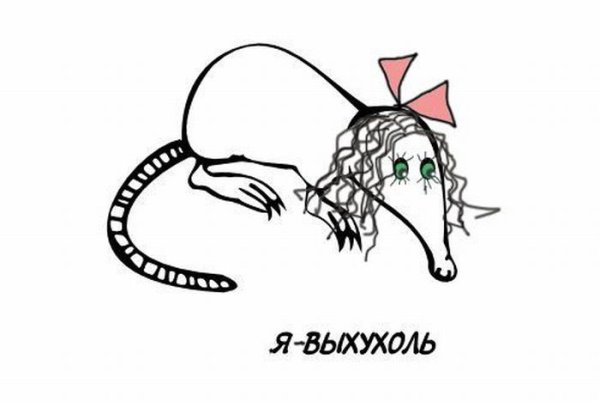 Выхухоль приколы