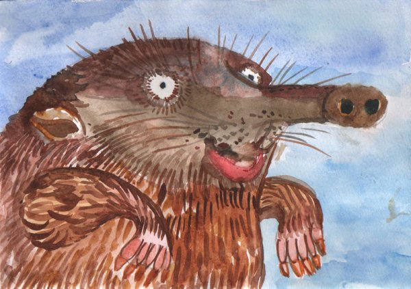 Выхухоль рисунок