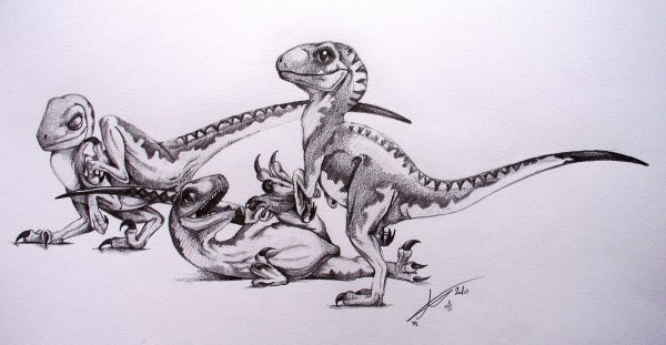Велоцераптор карандашом