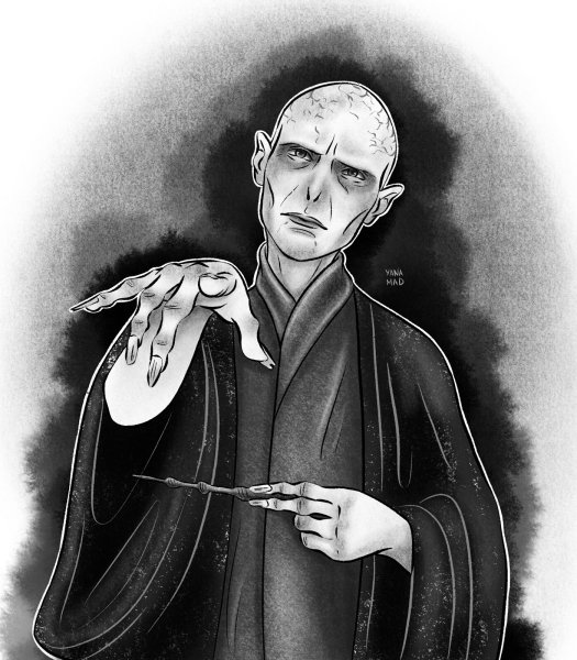 Гарри Поттер и Воланда Морт