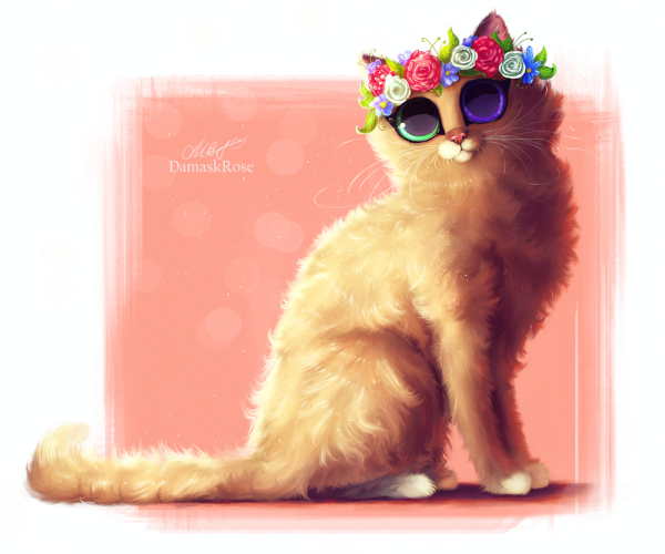 Кот с цветами акварель