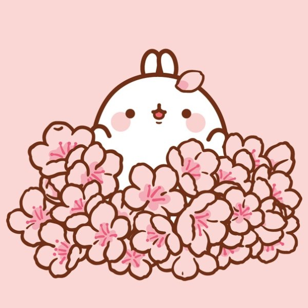 Рисунки Марины Федотовой мишки