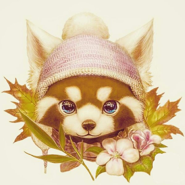 Художник Wawa Xue