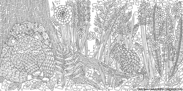 Mythomorphia Kerby Rosanes