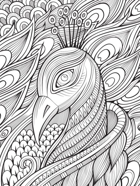 Раскраска антистресс ъ