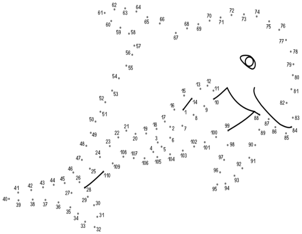 Рисование по цифрам сложные