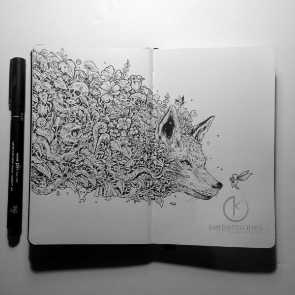 Керби Розанес лиса