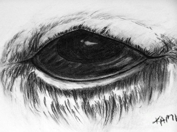 Жуткие глаза карандашом