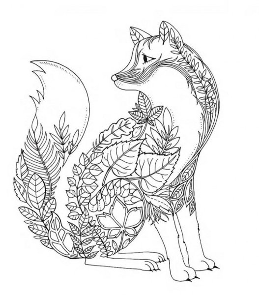 Раскраски для взрослых