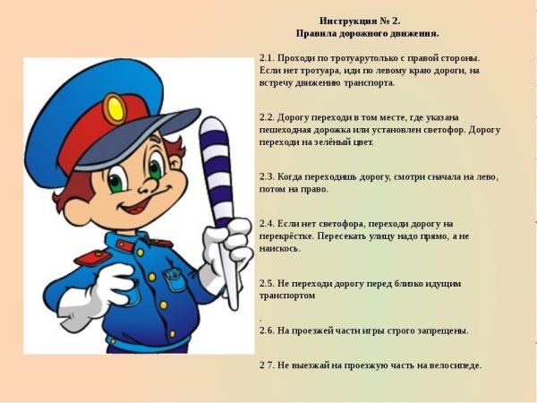 День ГИБДД презентация