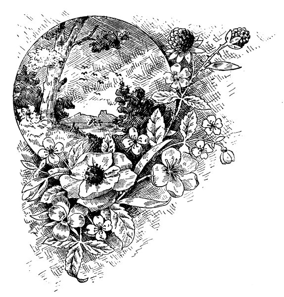 Эскизы для выжигания