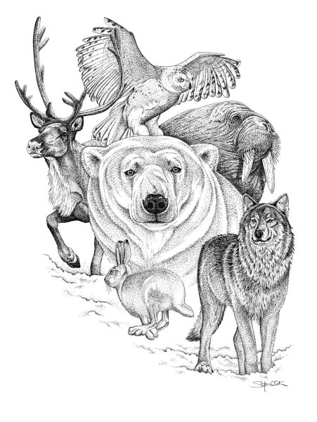 Эскизы животных