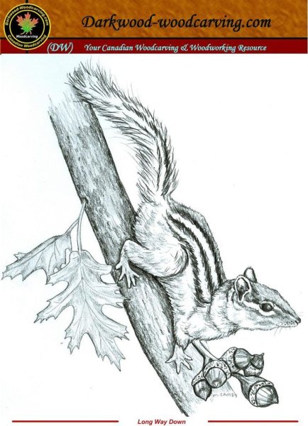 Тигр рисунок для выжигания