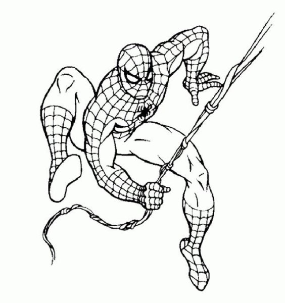 Раскраски. Животные