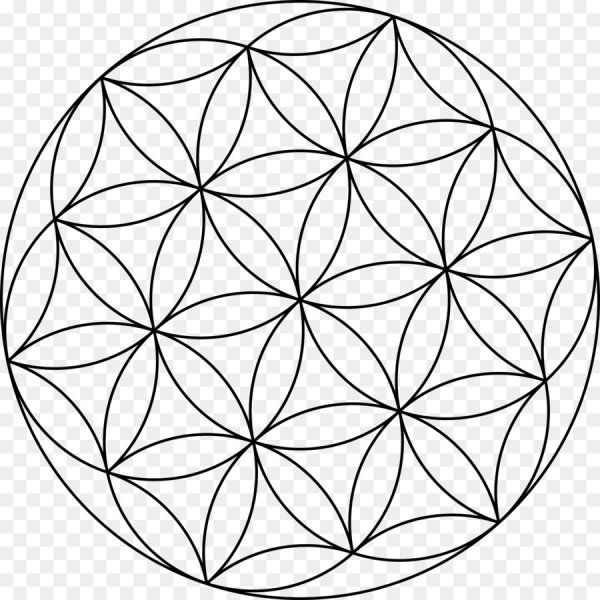 Цветок жизни Сакральная геометрия вектор